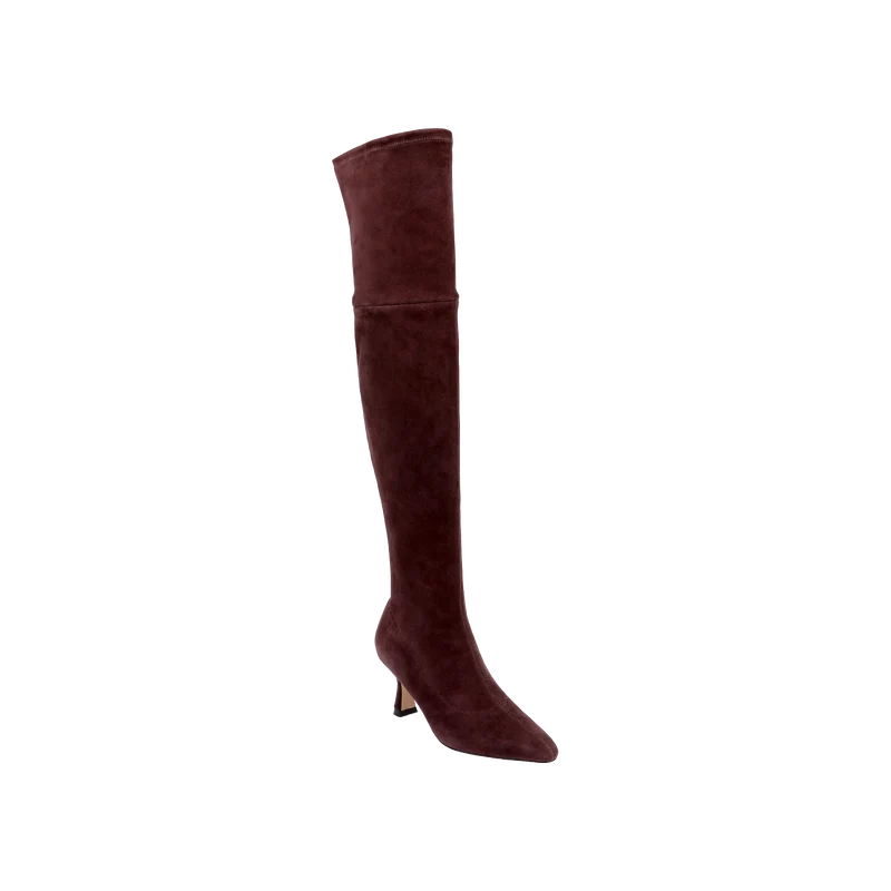 Clarin Over-the-Knee Boot