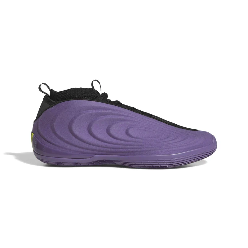 Adidas Harden Vol.10 Matte Purple