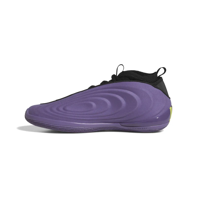 Adidas Harden Vol.10 Matte Purple