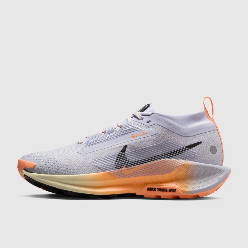 Nike Pegasus Trail 5 GORE-TEX Waterproof pour Femme