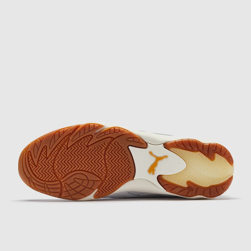 Puma King Indoor
