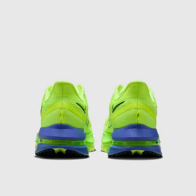 Nike Pegasus Premium