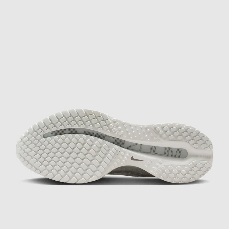 Nike Pegasus Premium pour Femme
