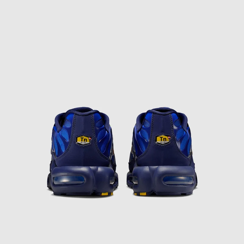 Nike Sportswear Air Max Plus OG France