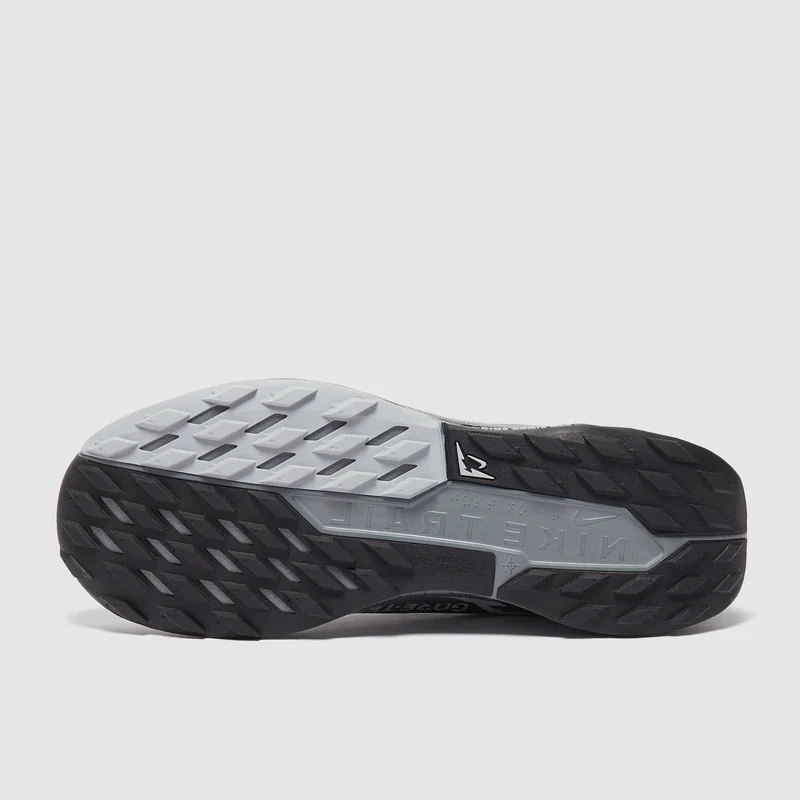 Nike Pegasus Trail 5 GORE-TEX