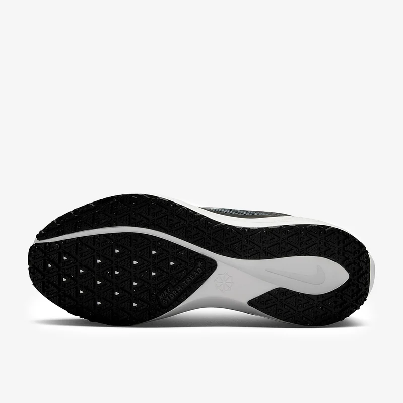 Nike Pegasus 41 GORE-TEX pour Femme