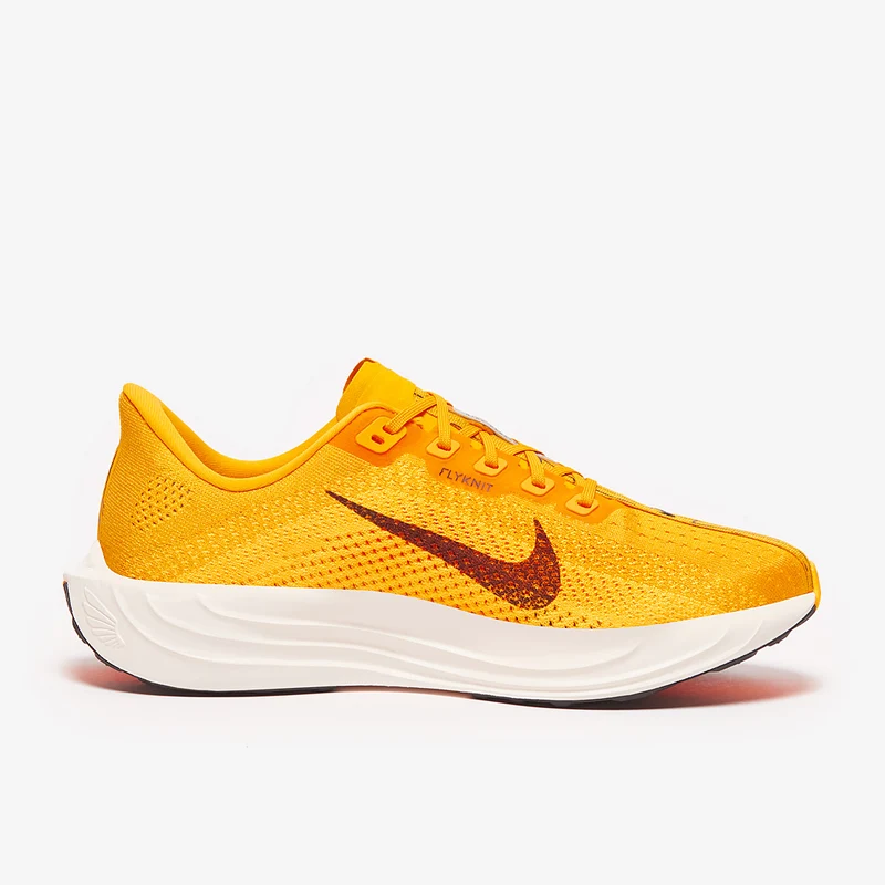 Nike Pegasus Plus