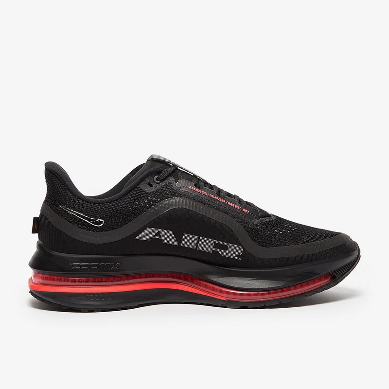 Nike Pegasus Premium pour Femme