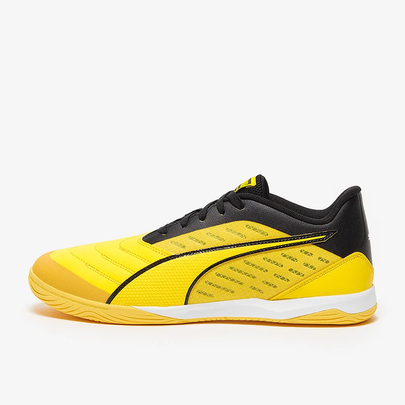 Puma Ibero IV