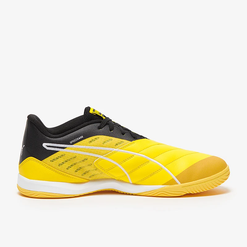 Puma Ibero IV