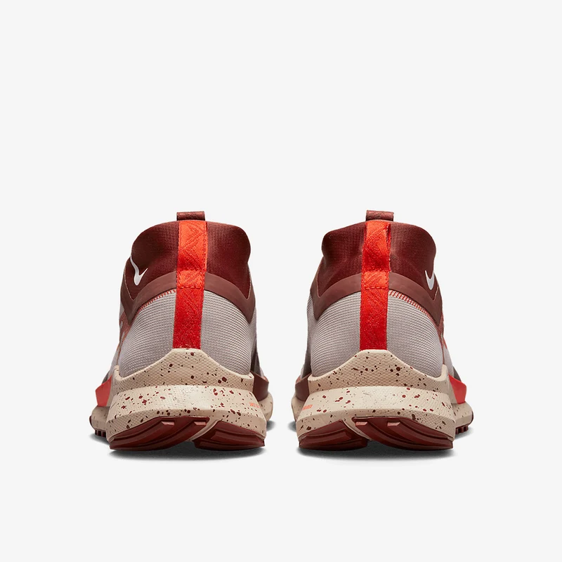 Nike Pegasus Trail 4 GORE-TEX