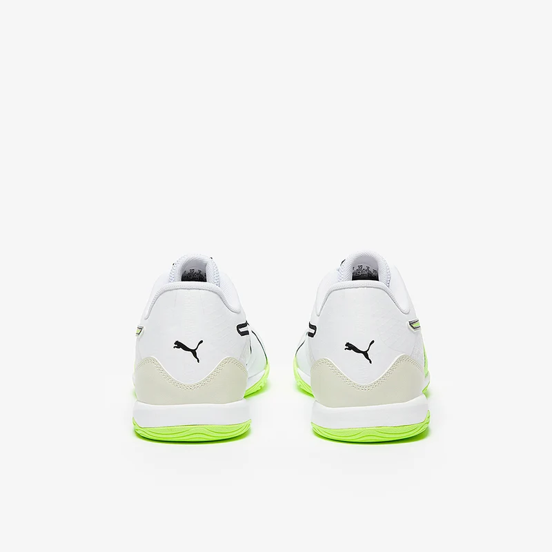 Puma Ibero IV