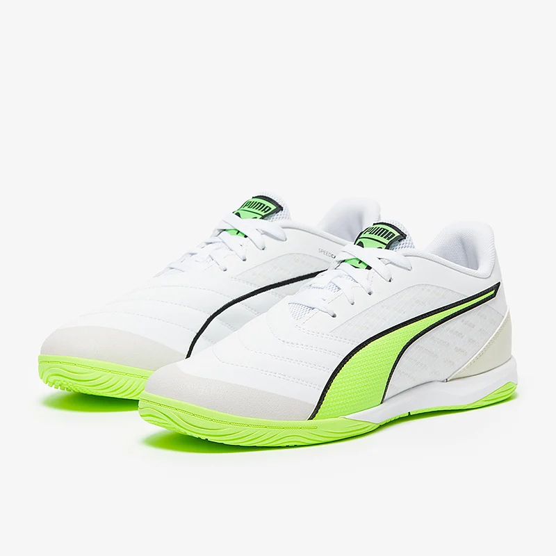 Puma Ibero IV