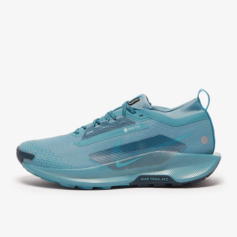 Nike Pegasus Trail 5 GORE-TEX
