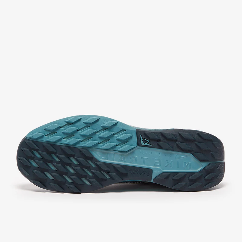 Nike Pegasus Trail 5 GORE-TEX