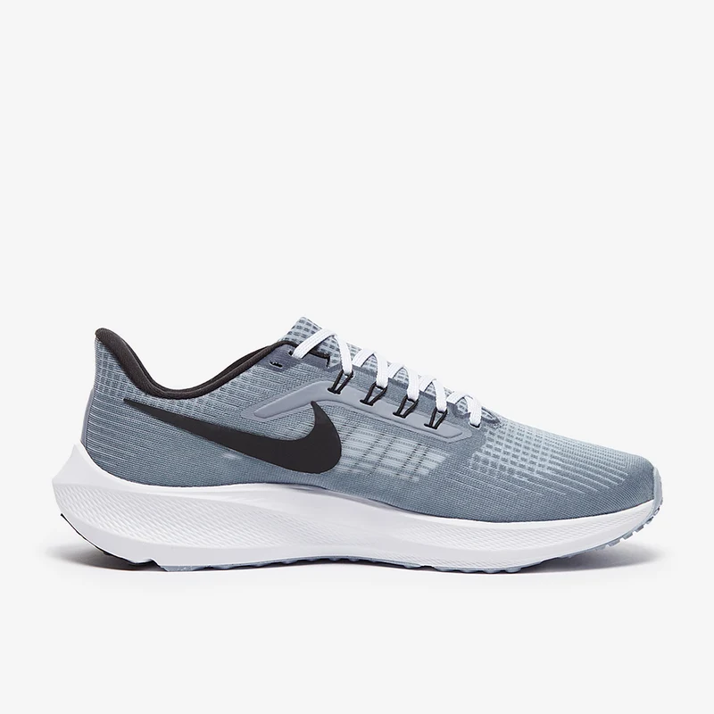Nike Pegasus 39