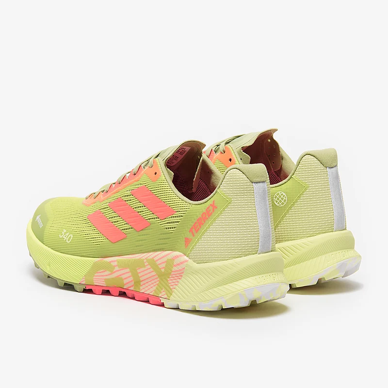 adidas Terrex Agravic Flow 2 GTX