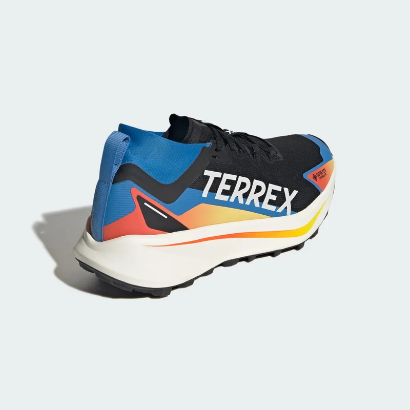 adidas Men Chaussure de trail running Terrex Agravic GTX