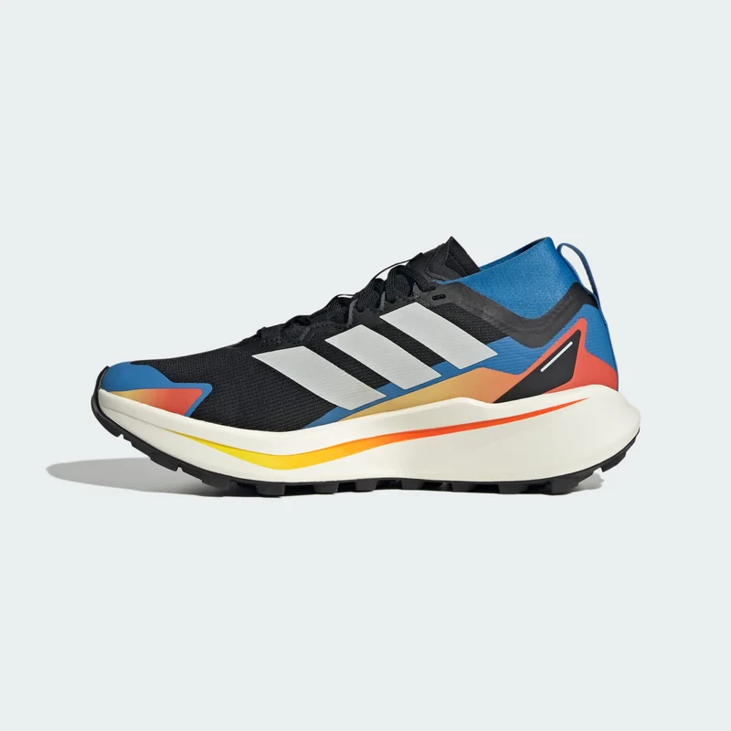 adidas Men Chaussure de trail running Terrex Agravic GTX