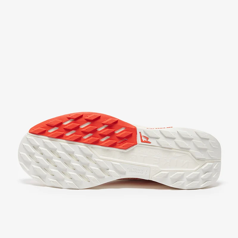 Nike Pegasus Trail 5 GORE-TEX