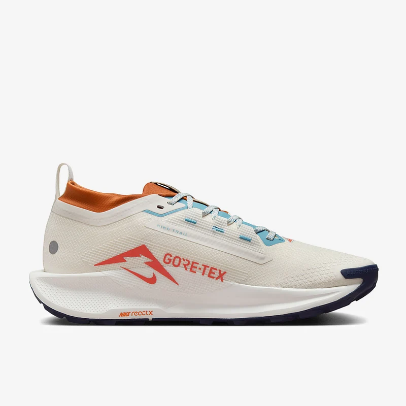 Nike Pegasus Trail 5 GORE-TEX
