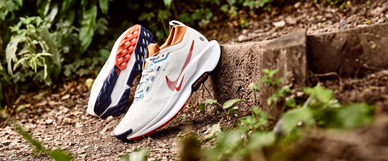 Nike Pegasus Trail 5 GORE-TEX